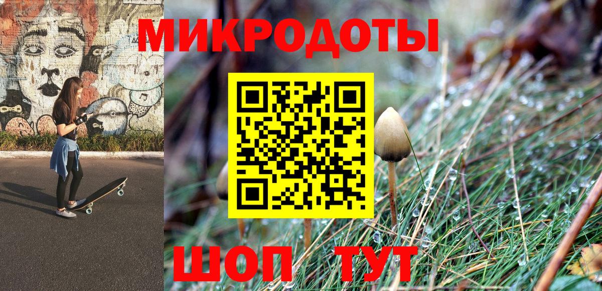 Галлюциногенные грибы ЛСД  Псилоцибиновые грибы ЛСД  Вход с VPN  Салехард 